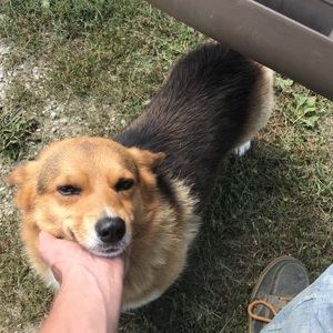 Meet your Posher, Tyler